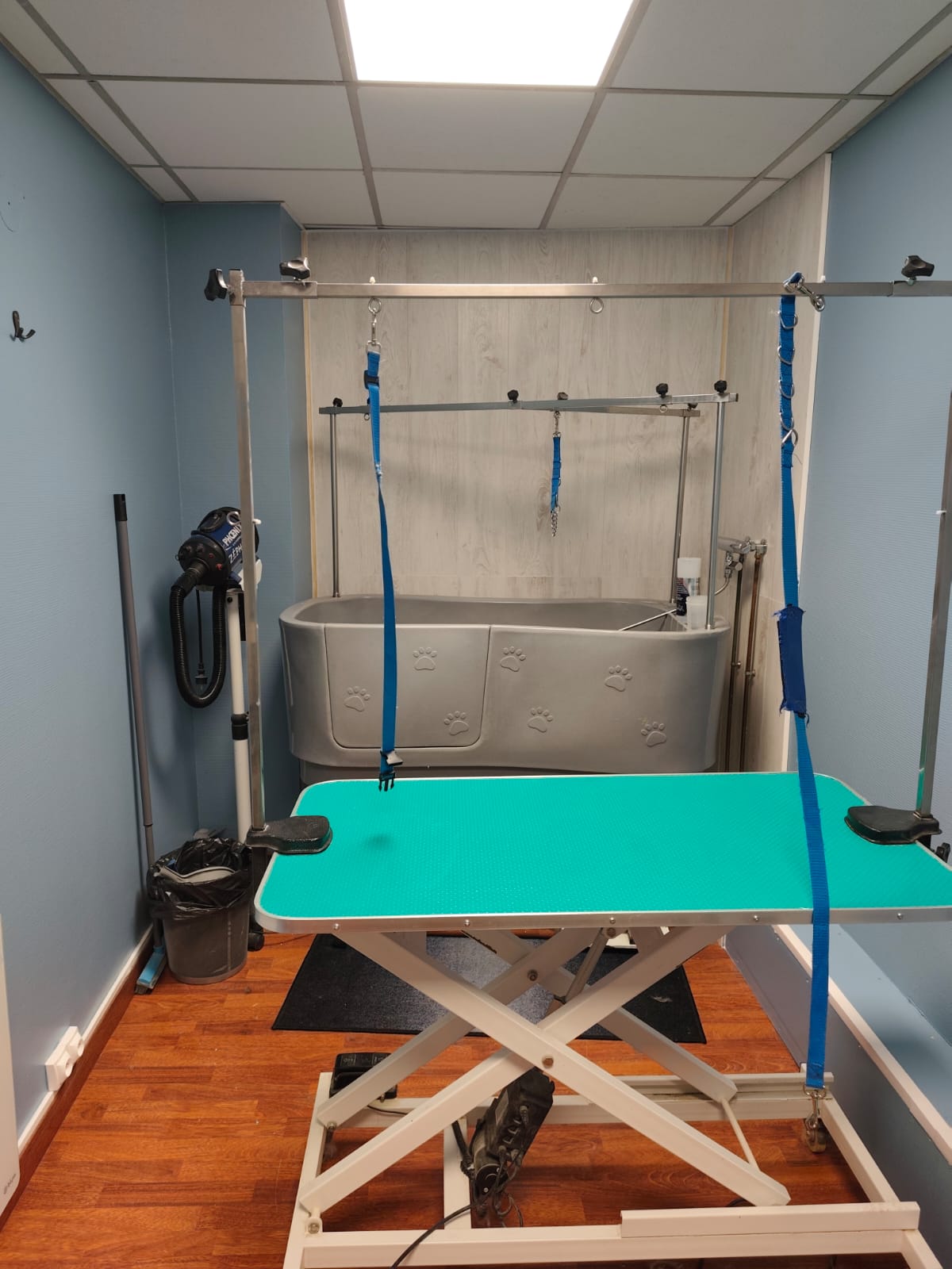 Dogwash ShaggyDog Wahagnies